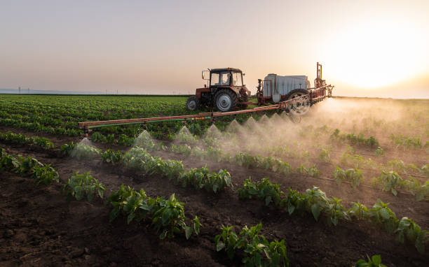Professional Pest Control in Ave Maria, FL