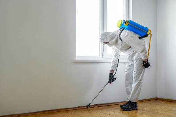 Best Wasp Removal Services  in Ave Maria, FL