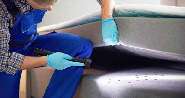 Best Pest Removal Services  in Ave Maria, FL