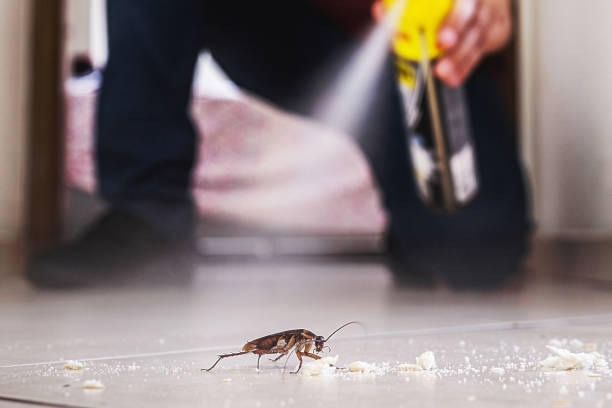 Best Pest Control Treatment  in Ave Maria, FL