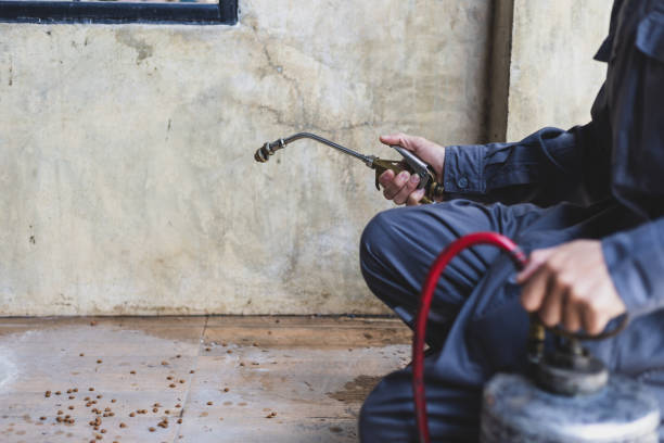 Best Pest Removal Services  in Ave Maria, FL